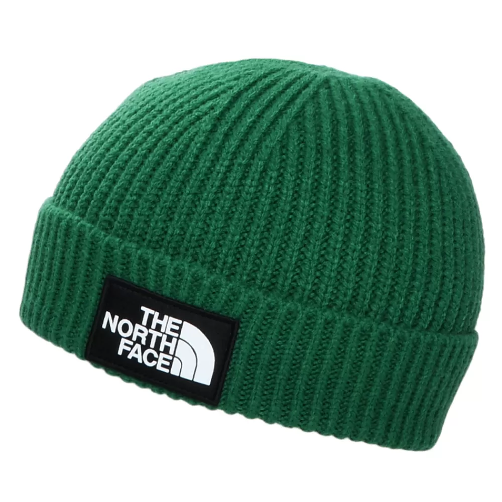 Bonnets | Chapeaux Hiver^The North Face Bonnet Marin à Revers TNF Logo Box sempervirent