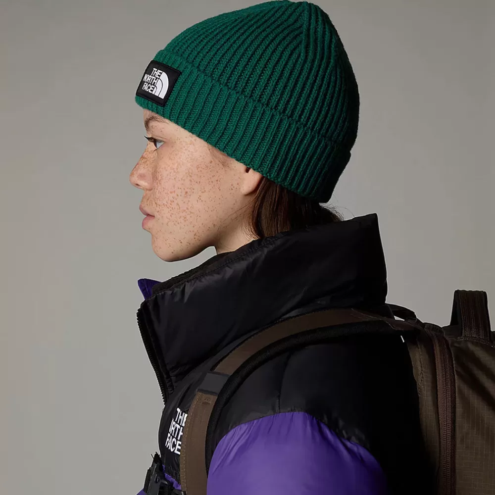 Bonnets | Chapeaux Hiver^The North Face Bonnet Marin à Revers TNF Logo Box sempervirent